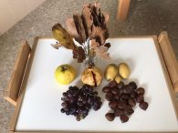 Proyecto de otoño